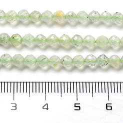 Natur Prehnit Perlen Stränge&nbsp;G-G161-A13-03