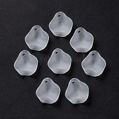 Gefrostet Acryl-Anhänger&nbsp;OACR-G014-02