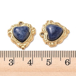 Natürliche Lapislazuli Anhänger&nbsp;STAS-P453-12G-02