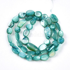 Cuentas de concha naturales blancos mechones&nbsp;SHEL-N036-21C