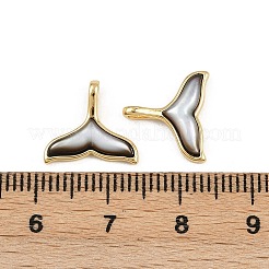 Natürliche schwarze Lippenmuschel Walschwanz Charms&nbsp;KK-A269-58G