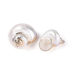 Colgantes de concha marina natural galvanizada&nbsp;SSHEL-T018-09