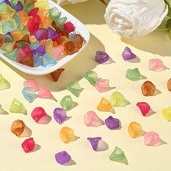 Transparentem Acryl Blumen Perlen&nbsp;X-PL622M