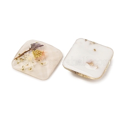 Transparente Harzcabochons&nbsp;RESI-K033-12B