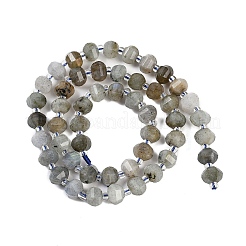 Chapelets de perles en labradorite naturelle &nbsp;G-G182-B02-02