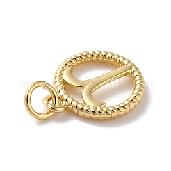 Breloques en laiton&nbsp;KK-A160-20G-01