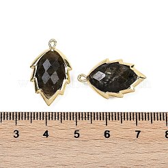 Natürliche Labradorit facettierte Blattanhänger&nbsp;G-I375-04G-08