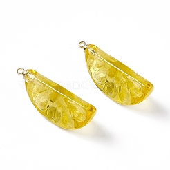 Pendentifs en résine transparente&nbsp;LS-RESI-P020-01P