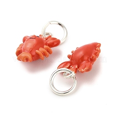 Pendentifs d'émail en alliage&nbsp;ENAM-I080-04S-04