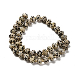 Natur Dalmatiner Jaspis Perlen Stränge&nbsp;G-P573-A63-10x6mm