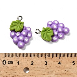 Colgantes de resina opaca con forma de fruta&nbsp;RESI-I065-01B