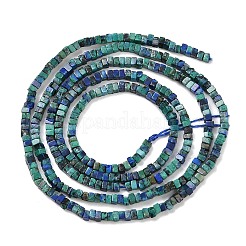 Natürliche Chrysokolla und Lapislazuli Perlen&nbsp;G-K399-B08-01