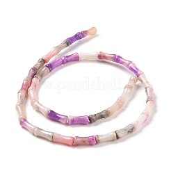 Fili di dolomite naturale e perline di opale sintetico&nbsp;G-P475-03D