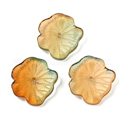 Perles en verre transparentes&nbsp;DGLA-E004-02A