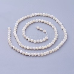 Muschelperlen Stränge&nbsp;G-F619-27-3mm