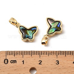 Natürliche Paua Muschel Schmetterling Charms&nbsp;KK-G538-22G