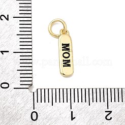 Messing Emaille Anhänger / charms&nbsp;KK-P338-01G-C01