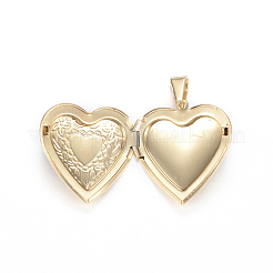 Ionenplattierung (IP) 316 chirurgischer Edelstahl Medaillon Anhänger&nbsp;STAS-N0016-03G