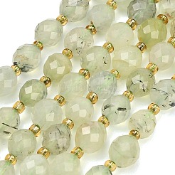 Perline Prehnite naturale fili&nbsp;GG-CBA4A3B-A11