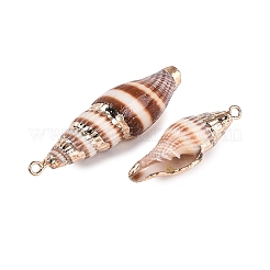 Colgantes de concha espiral natural con adornos de latón dorado electrochapado&nbsp;SSHEL-N042-28