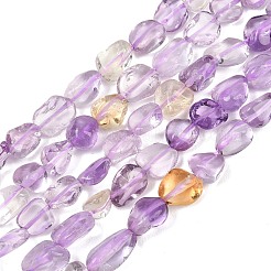 Naturperlen Stränge ametrine&nbsp;G-C273-A01-02A