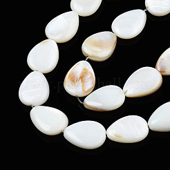 Shell normal de perles blanches de brins&nbsp;PBB263Y-1