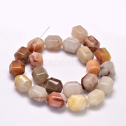 Perline Bloodstone naturale fili&nbsp;G-F248-01