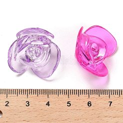 Pendentifs en acrylique transparent &nbsp;OACR-Z016-19