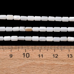 Natürlichen Süßwasser-Muschelperlen Stränge&nbsp;SH-CBA2978-21A