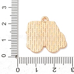 Legierung mit Emaille-Anhängern&nbsp;AL-CBA9CD2-03E