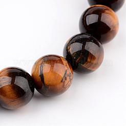 Oeil de tigre naturel perles rondes bracelets extensibles&nbsp;BJEW-JB02271-03