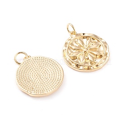 Messing Anhänger & Charms&nbsp;ZIRC-I043-14G
