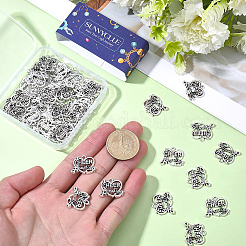 50 pièces pendentifs en alliage de style tibétain&nbsp;TIBEP-SC0003-42