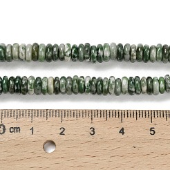 Natürliche grüne Fleck Jaspis Perlen Stränge&nbsp;G-Q159-B35-01
