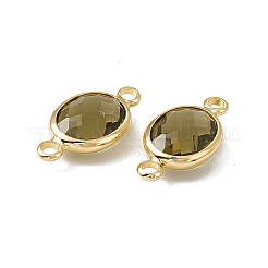 Breloques de connecteur en verre k9 transparent&nbsp;GLAA-A005-10G-08
