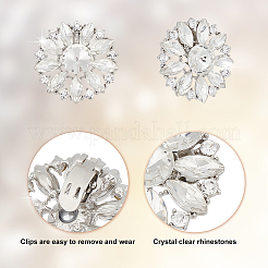 Ahademaker 4pcs 2 Stil abnehmbare Legierung Kristall Strass Schuhschnallenclips&nbsp;FIND-GA0002-15