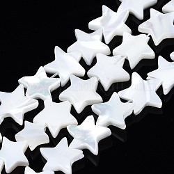 Natural Trochid Shell/Trochus Shell Beads Strands, Bleach, Star, White, 9~10x9~11x2.5mm, Hole: 0.5mm, about 49~50pcs/strand, 15.55 inch~16.14 inch(39.5~41cm)