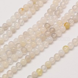 Natural Gemstone Botswana Agate Round Beads Strands, 3mm, Hole: 0.8mm, about 126pcs/strand, 16inch