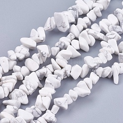 Natural Howlite Stone Bead Strands, Chip, White, 4~10x4~6x2~4mm, Hole: 1mm, about 320pcs/strand, 35.4 inch