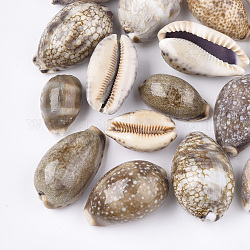 Perles en cauris, perles non percées / sans trou, chameau, 33~50x20~32x16~28mm