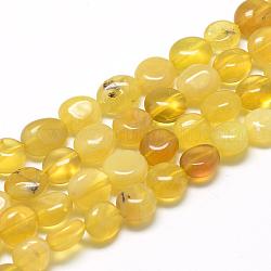 Chapelets de perles en opale jaune naturelle, ovale, 8~15x7~12x4~12mm, Trou: 1mm, Environ 30~45 pcs/chapelet, 15.7 pouce