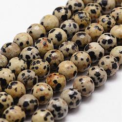 Chapelets de perles en jaspe dalmatien naturelle, facette, ronde, 8mm, Trou: 1mm, Environ 44 pcs/chapelet, 14.9 pouce ~ 15.1 pouces