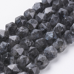 Natürliche schwarze Larvikit-Perlenstränge, facettiert, Runde, 10x9 mm, Bohrung: 1.2 mm, ca. 38 Stk. / Strang, 15.3 Zoll (39 cm)