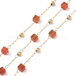 Natürliche quadratische Perlenketten aus rotem Achat, mit goldenem 304 Zubehör aus Edelstahl, ungeschweißte, 2~3x2~2.5x2~2.5 mm, ca. 3.28 Fuß (1m)/Box