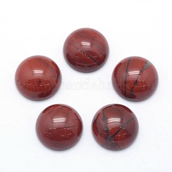Cabochons de jaspe rouge naturel, demi-rond, 14~14.5x6mm