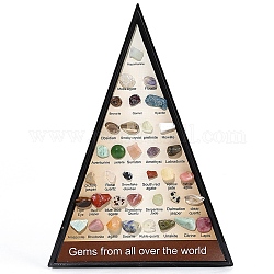 Collezioni di pepite di pietre preziose naturali, per l'insegnamento delle scienze della terra, scatola triangolare: 110x155x15mm, gemma: 8~14x5~8 mm, 36pcs/scatola
