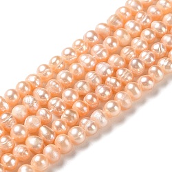 Fili di perle di perle d'acqua dolce coltivate naturali, patata, grado A +, sabbia marrone, 4~7x4.5~5mm, Foro: 0.5 mm, circa 69pcs/filo, 13.27~13.62 pollice (33.7~34.6 cm)