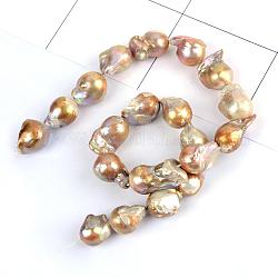 Fili di perle di keshi di perle barocche naturali, perla d'acqua dolce coltivata, verga d'oro scuro, 14~30x13~16mm, Foro: 0.8 mm, circa 19~26pcs/filo, 16.5 pollice~17.1 pollici