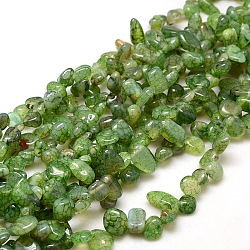Synthetical Nuggets Crackle Agate Beads Strands, Dyed & Heated, Lime Green, 8~16x8~12x6~10mm, Hole: 1mm, about 59~60pcs/strand, 15~16 inch