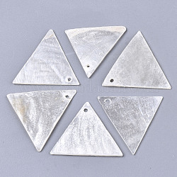 Colgantes de concha de capiz natural, triángulo, blanco cremoso, 23~25x28~29x1mm, agujero: 1.4 mm